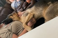 Luna - Photo 3