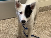 KAREN - Photo 1
