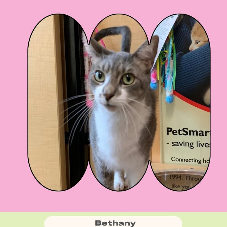 Bethany Image