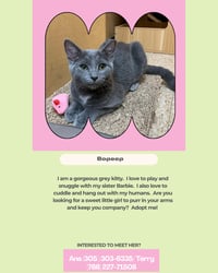 Bopeep - Photo 2