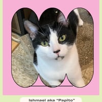 Ishmael aka Papito - Photo 1