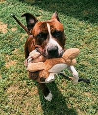 REY - Photo 1