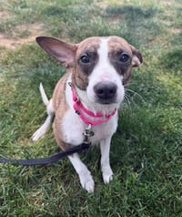 DELORES - Photo 1