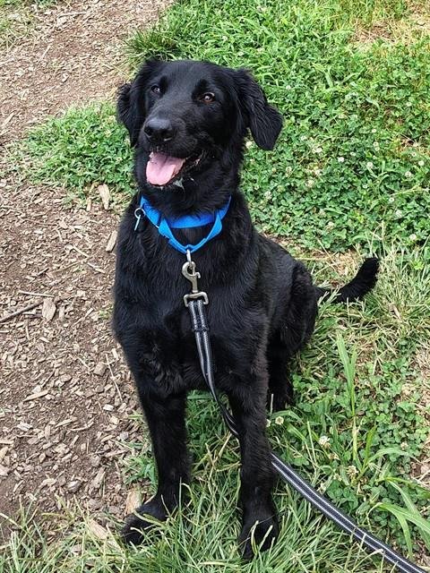 KAGE Image