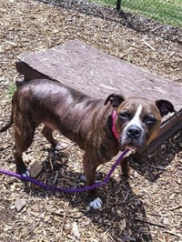 ARLO - Photo 1