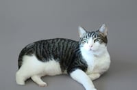Max - Photo 1