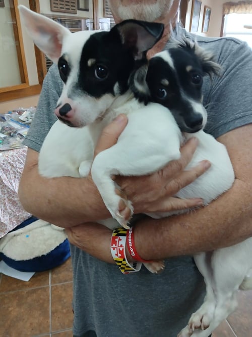 MAX AND TYSON