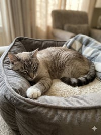 Fitz - Photo 1
