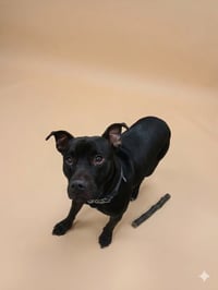 Onyx - Photo 1