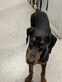 BENNY - Photo 1