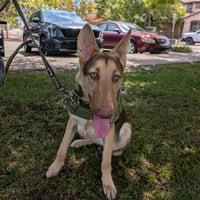 FINN - Photo 1