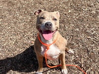 NALA - Photo 1