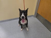 C. JENKINS - Photo 1