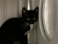 CLARISSA - Photo 1