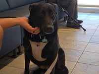KONA - Photo 1