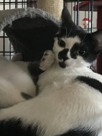 Stella - Photo 2