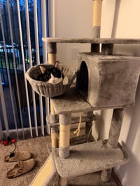Midnight - Photo 4