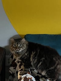 Ruby - Photo 3