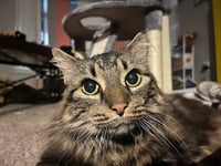 Ruby - Photo 1