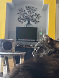 Ruby - Photo 6