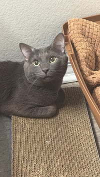 Mr. Whiskers - Photo 4