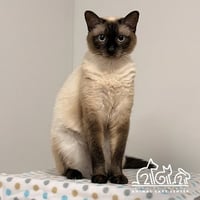 BECKY - Photo 1