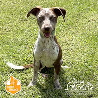 MUFFY - Photo 1