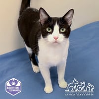 TUX - Photo 1