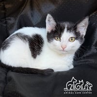 TOOKS - Photo 1