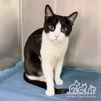 TUX - Photo 1
