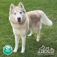MAX - Photo 1