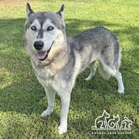 ARWEN - Photo 1