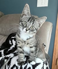 Leia - Photo 1