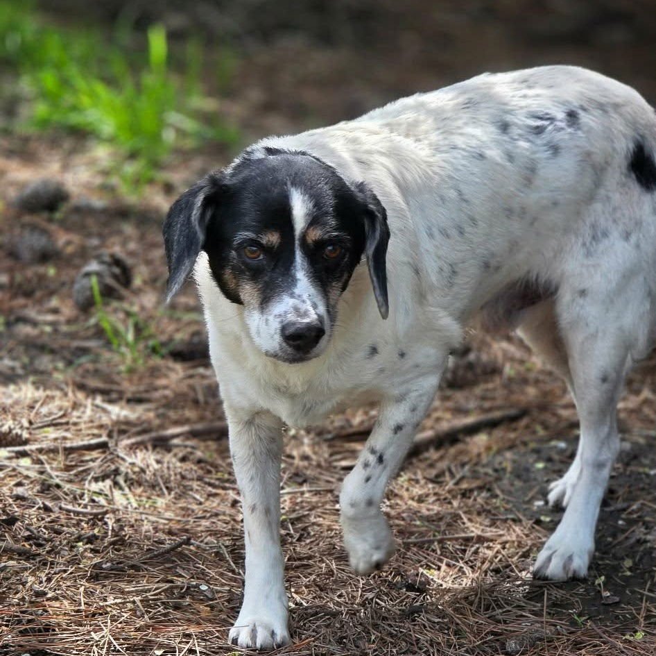 Leroy (& Levon) - Photo 3