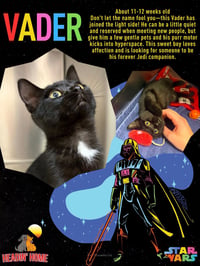 Vader - Photo 1