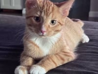 Hewey & Louie - Photo 2
