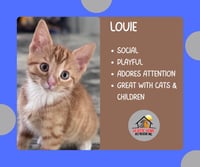 Hewey & Louie - Photo 7