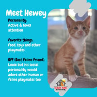 Hewey & Louie - Photo 5