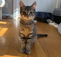 BUTTER - Photo 1