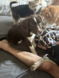 Bodie - Photo 2