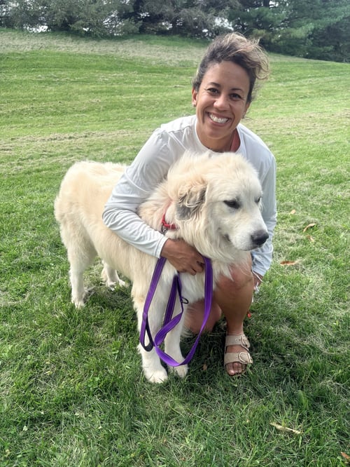 JONES - Great Pyrenees available for adoption