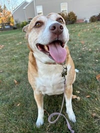 Maggie - Photo 1