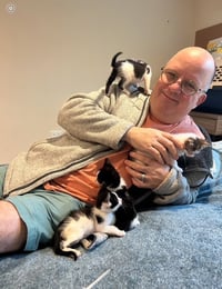Sailor, Peg leg Pete, Marina AND OTHER KITTENS - Photo 2