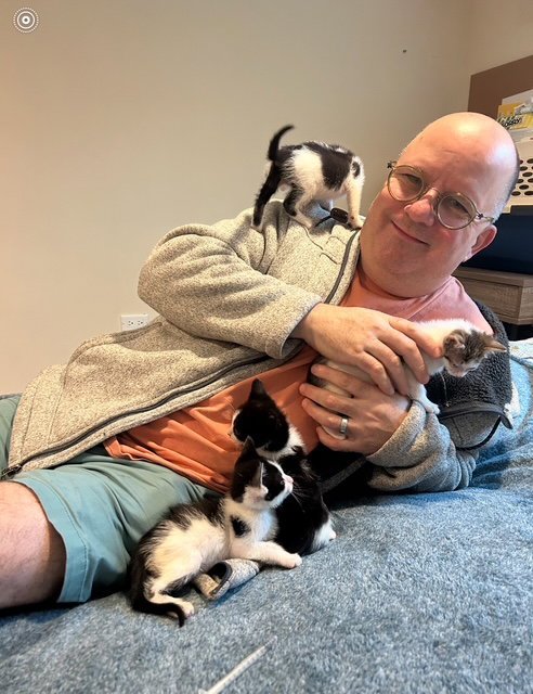 SAILOR, PEG LEG PETE, MARINA AND OTHER KITTENS - Tabby available for adoption