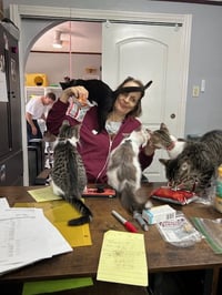 Sailor, Peg leg Pete, Marina AND OTHER KITTENS - Photo 5