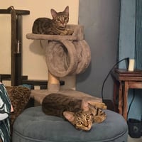 Junebug & Millipede - Photo 3