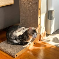 Benito Vinnie - Photo 3