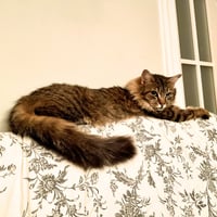 Wanda - Photo 1