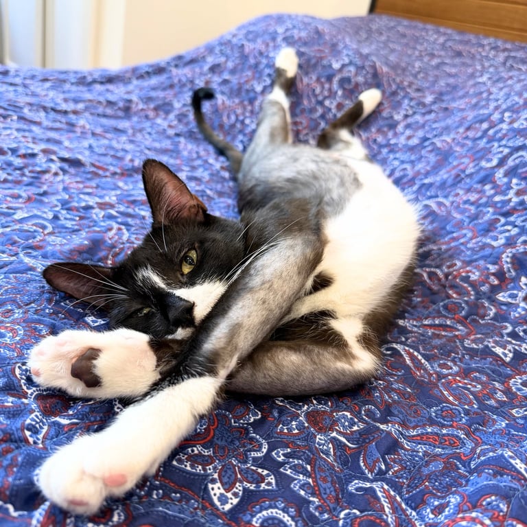 Leilani Image