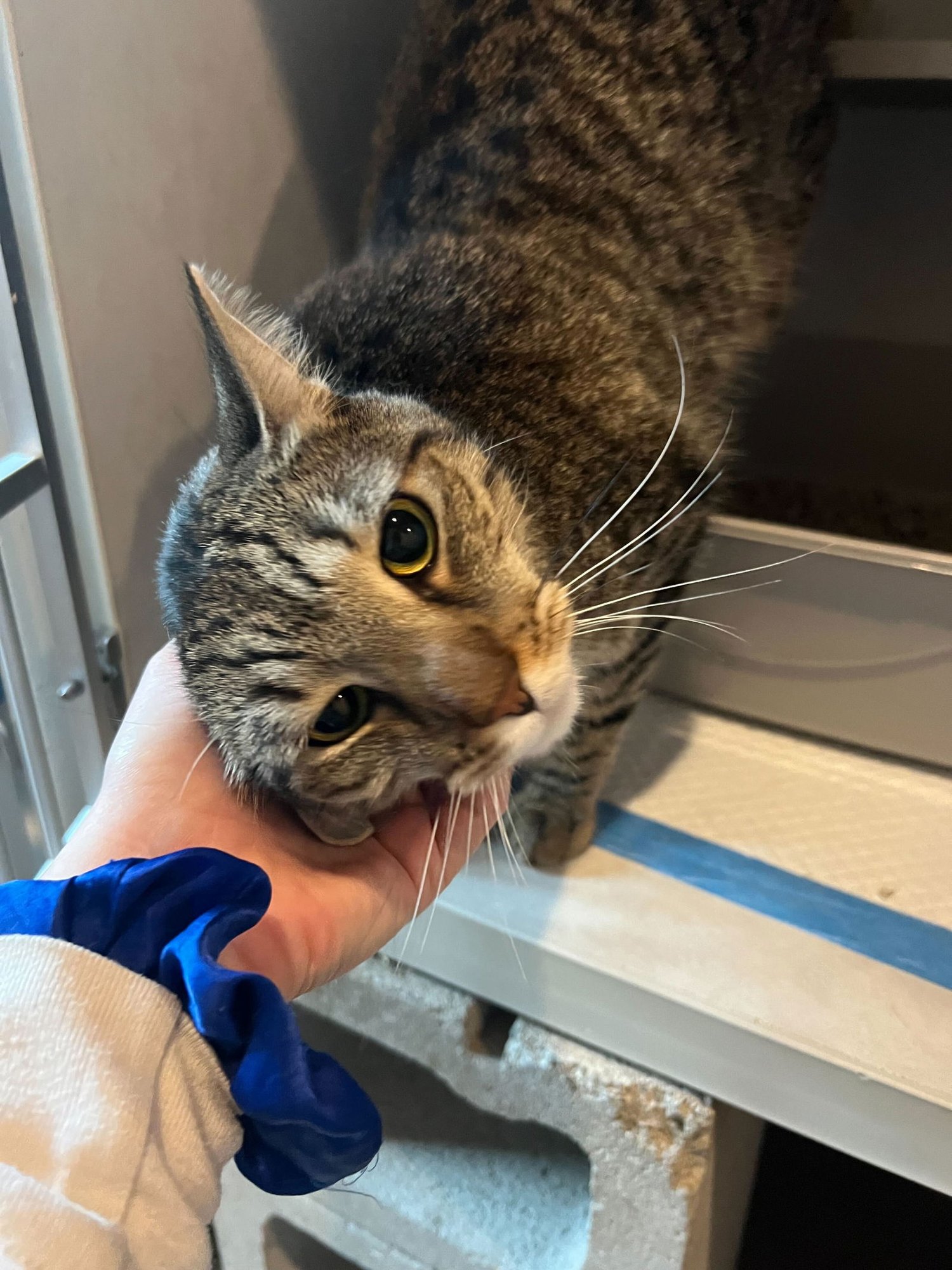 Cowboy Boots - Photo 5